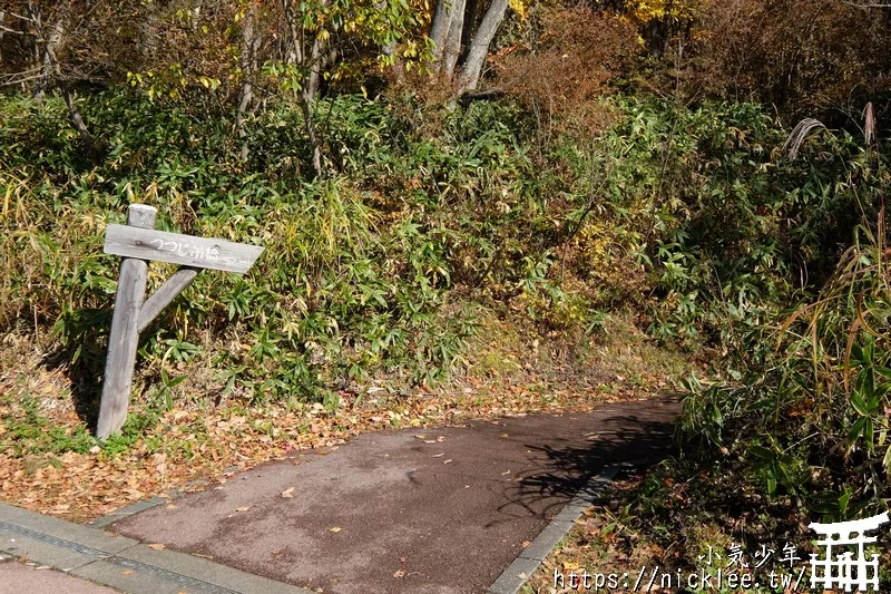 櫪木縣那須高原賞楓景點-杜鵑花吊橋(躑躅吊橋)-10月下旬~11上旬是賞楓旺季,遠眺壯觀的山谷楓紅之美