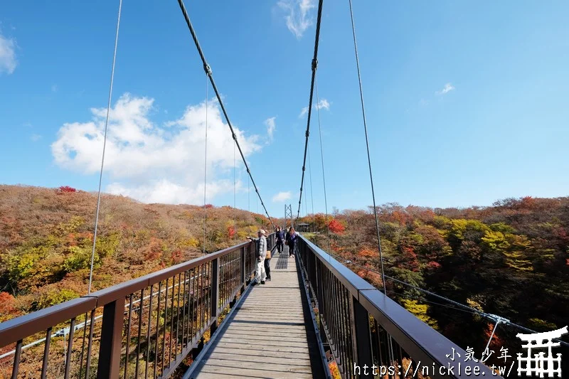 櫪木縣那須高原賞楓景點-杜鵑花吊橋(躑躅吊橋)-10月下旬~11上旬是賞楓旺季,遠眺壯觀的山谷楓紅之美