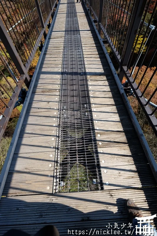 櫪木縣那須高原賞楓景點-杜鵑花吊橋(躑躅吊橋)-10月下旬~11上旬是賞楓旺季,遠眺壯觀的山谷楓紅之美