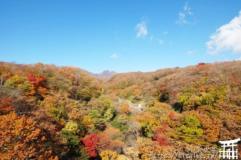 櫪木縣那須高原賞楓景點-杜鵑花吊橋(躑躅吊橋)-10月下旬~11上旬是賞楓旺季,遠眺壯觀的山谷楓紅之美