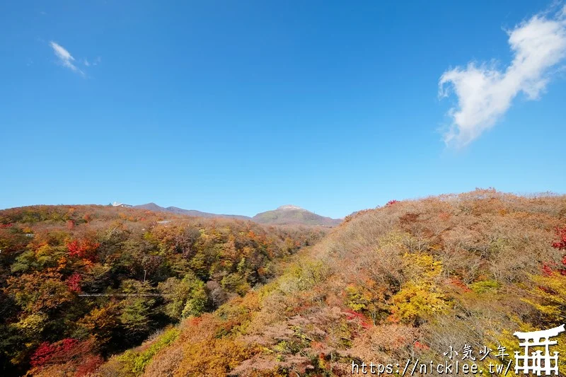 櫪木縣那須高原賞楓景點-杜鵑花吊橋(躑躅吊橋)-10月下旬~11上旬是賞楓旺季,遠眺壯觀的山谷楓紅之美