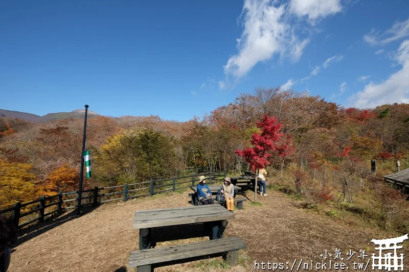 櫪木縣那須高原賞楓景點-杜鵑花吊橋(躑躅吊橋)-10月下旬~11上旬是賞楓旺季,遠眺壯觀的山谷楓紅之美