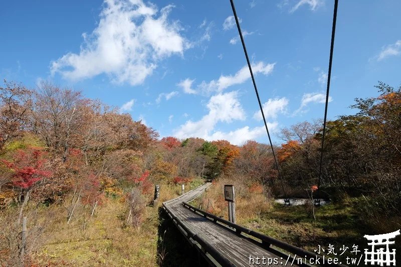 櫪木縣那須高原賞楓景點-杜鵑花吊橋(躑躅吊橋)-10月下旬~11上旬是賞楓旺季,遠眺壯觀的山谷楓紅之美