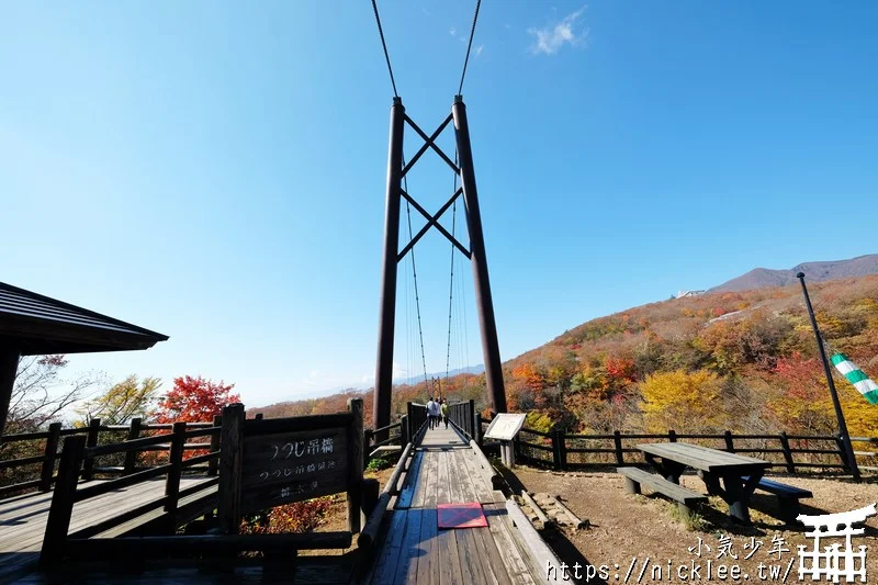 櫪木縣那須高原賞楓景點-杜鵑花吊橋(躑躅吊橋)-10月下旬~11上旬是賞楓旺季,遠眺壯觀的山谷楓紅之美