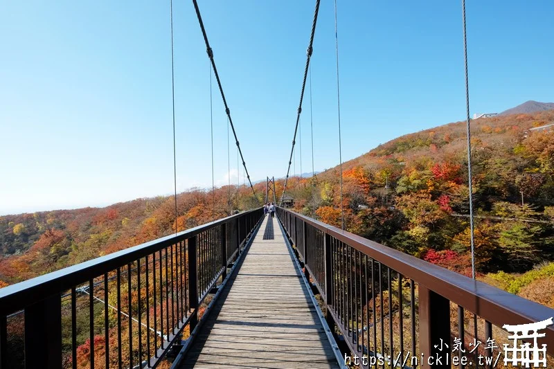 櫪木縣那須高原賞楓景點-杜鵑花吊橋(躑躅吊橋)-10月下旬~11上旬是賞楓旺季,遠眺壯觀的山谷楓紅之美