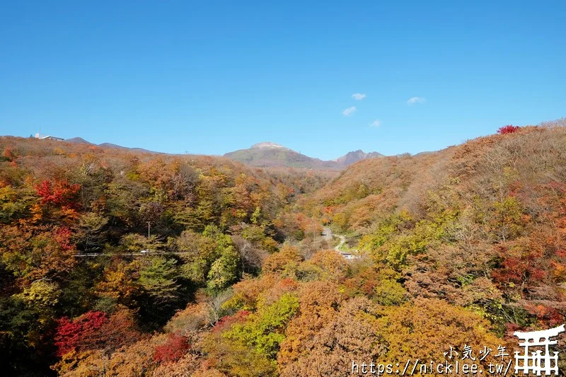 櫪木縣那須高原賞楓景點-杜鵑花吊橋(躑躅吊橋)-10月下旬~11上旬是賞楓旺季,遠眺壯觀的山谷楓紅之美