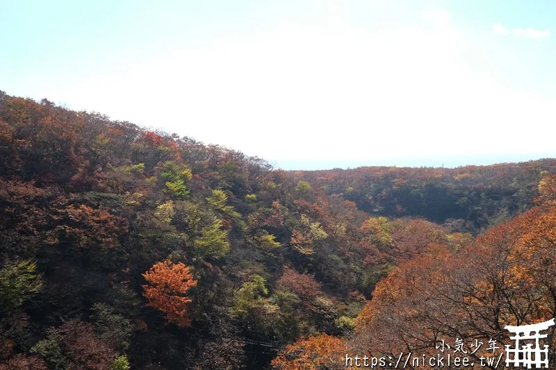 櫪木縣那須高原賞楓景點-杜鵑花吊橋(躑躅吊橋)-10月下旬~11上旬是賞楓旺季,遠眺壯觀的山谷楓紅之美