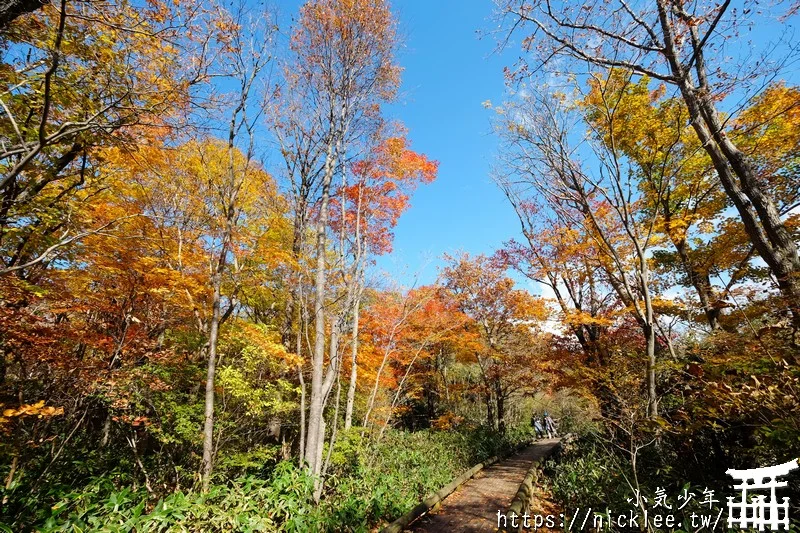 櫪木縣那須高原賞楓景點-杜鵑花吊橋(躑躅吊橋)-10月下旬~11上旬是賞楓旺季,遠眺壯觀的山谷楓紅之美