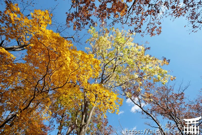 櫪木縣那須高原賞楓景點-杜鵑花吊橋(躑躅吊橋)-10月下旬~11上旬是賞楓旺季,遠眺壯觀的山谷楓紅之美