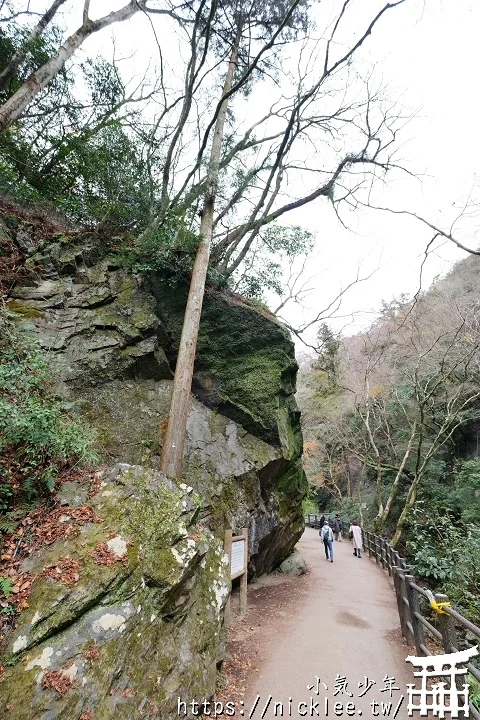 大阪箕面一日行程推薦：箕面公園與勝尾寺