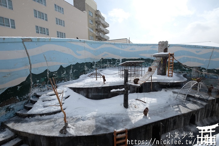 函館市熱帶植物園-猴子泡溫泉