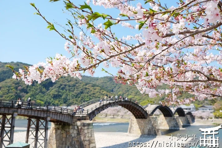 【山口景點】岩國錦帶橋櫻花-日本三大名橋與三大奇橋