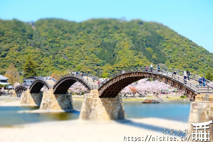 【山口景點】岩國錦帶橋櫻花-日本三大名橋與三大奇橋