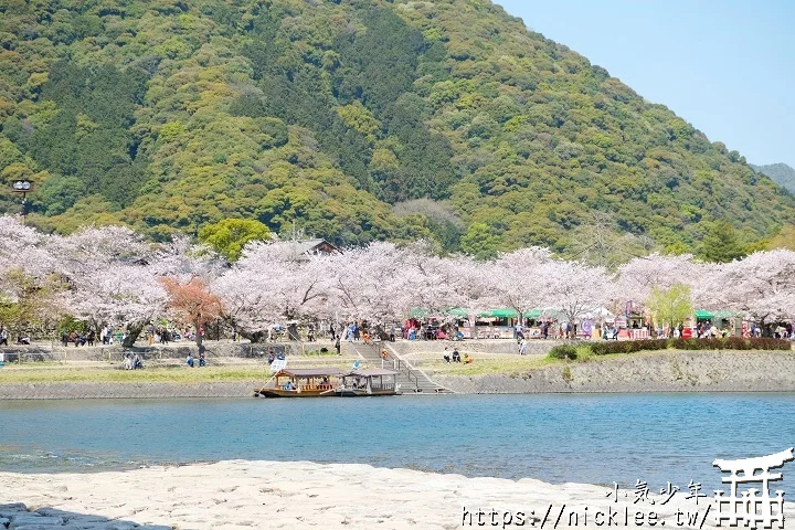 【山口景點】岩國錦帶橋櫻花-日本三大名橋與三大奇橋