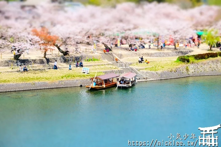 【山口景點】岩國錦帶橋櫻花-日本三大名橋與三大奇橋