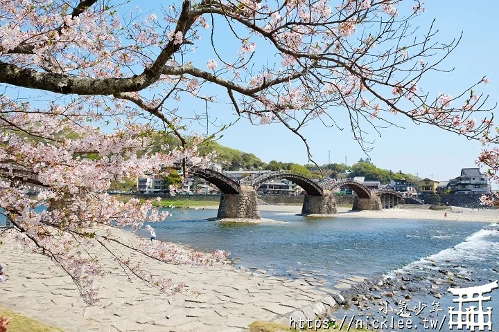 【山口景點】岩國錦帶橋櫻花-日本三大名橋與三大奇橋