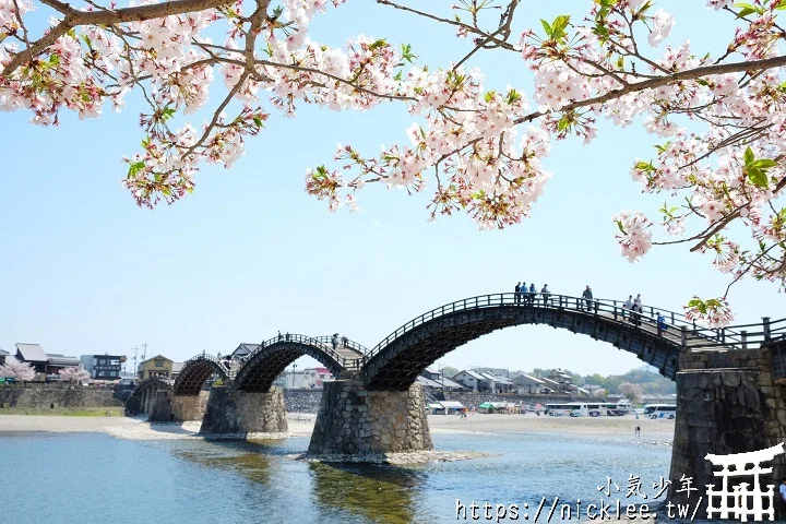 【山口景點】岩國錦帶橋櫻花-日本三大名橋與三大奇橋