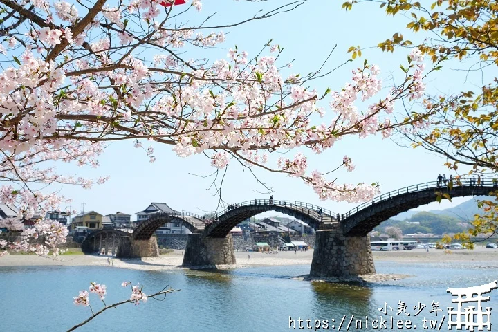 【山口景點】岩國錦帶橋櫻花-日本三大名橋與三大奇橋