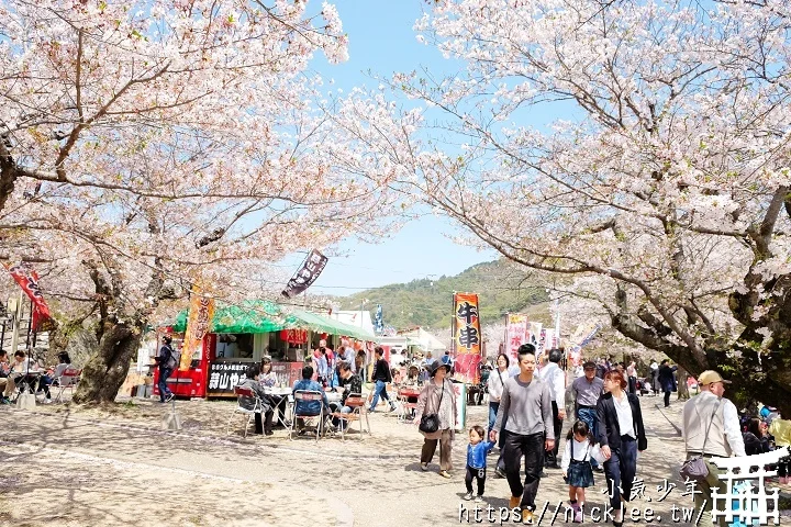 【山口景點】岩國錦帶橋櫻花-日本三大名橋與三大奇橋