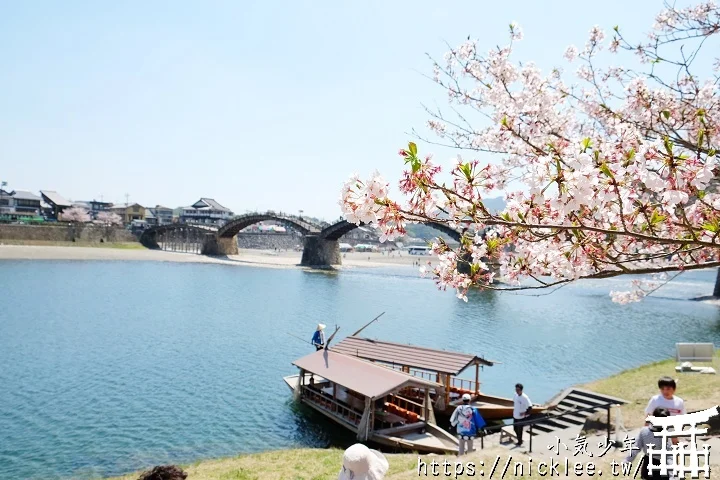 【山口景點】岩國錦帶橋櫻花-日本三大名橋與三大奇橋