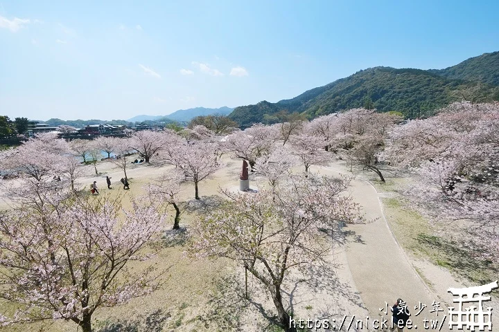 【山口景點】岩國錦帶橋櫻花-日本三大名橋與三大奇橋