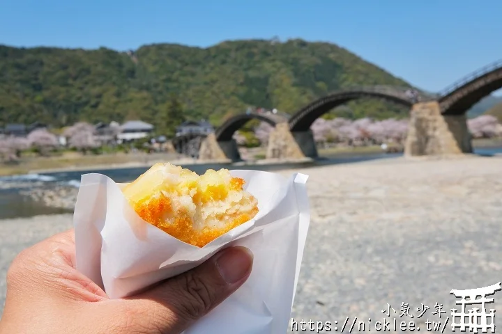 【山口景點】岩國錦帶橋櫻花-日本三大名橋與三大奇橋