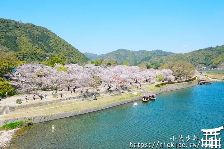 【山口景點】岩國錦帶橋櫻花-日本三大名橋與三大奇橋