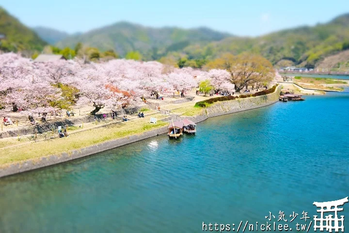 【山口景點】岩國錦帶橋櫻花-日本三大名橋與三大奇橋