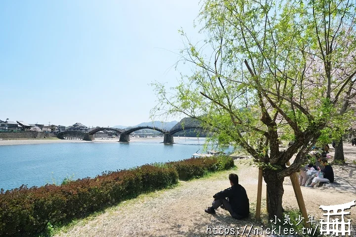 【山口景點】岩國錦帶橋櫻花-日本三大名橋與三大奇橋