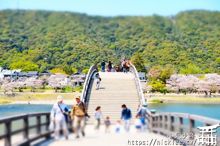 【山口景點】岩國錦帶橋櫻花-日本三大名橋與三大奇橋