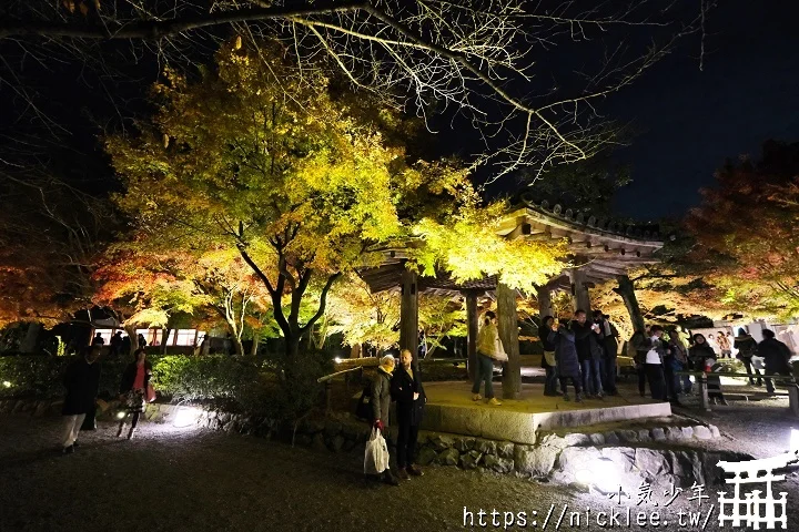 【京都宇治】平等院夜楓-順便欣賞晚上的鳳凰堂美麗倒影