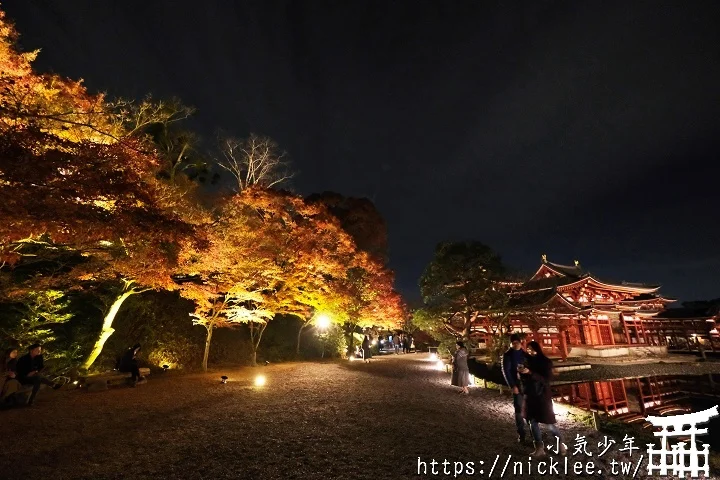 【京都宇治】平等院夜楓-順便欣賞晚上的鳳凰堂美麗倒影