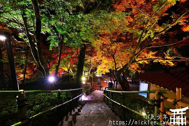 【京都宇治】平等院夜楓-順便欣賞晚上的鳳凰堂美麗倒影