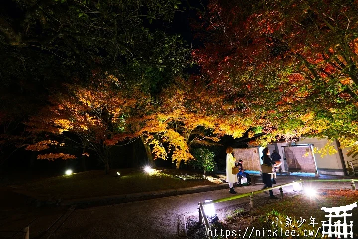 【京都宇治】平等院夜楓-順便欣賞晚上的鳳凰堂美麗倒影