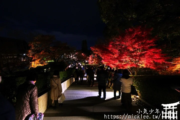 【京都宇治】平等院夜楓-順便欣賞晚上的鳳凰堂美麗倒影