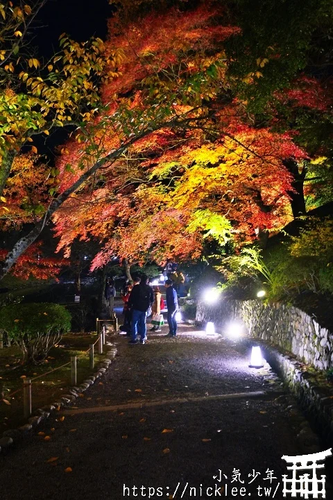 【京都宇治】平等院夜楓-順便欣賞晚上的鳳凰堂美麗倒影