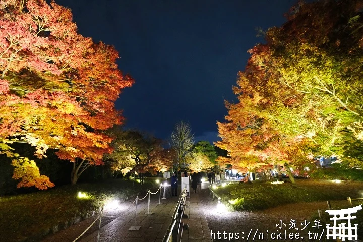 【京都宇治】平等院夜楓-順便欣賞晚上的鳳凰堂美麗倒影