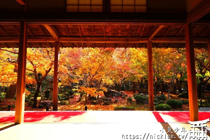 京都賞楓景點 - 圓光寺 - 奔龍庭枯山水與十牛之庭的紅葉地毯必看