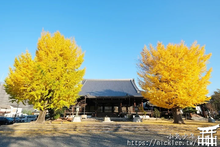 【京都】本願寺山科別院(山科本願寺)-遊客不多的銀杏祕境