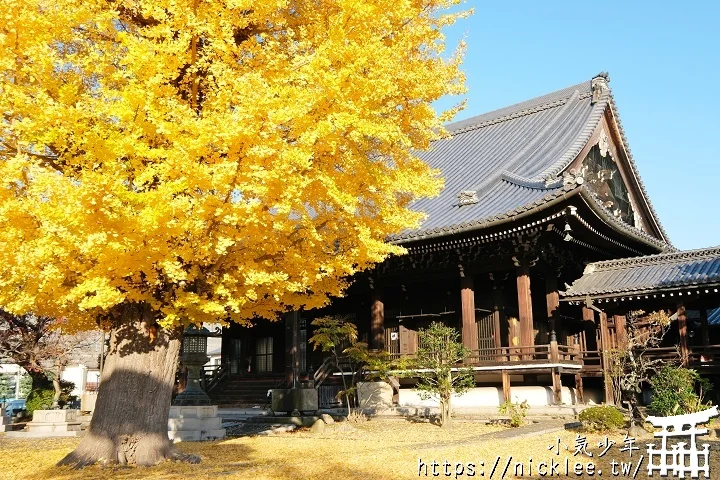 【京都】本願寺山科別院(山科本願寺)-遊客不多的銀杏祕境