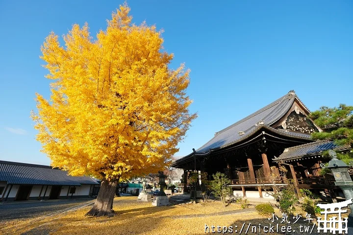 【京都】本願寺山科別院(山科本願寺)-遊客不多的銀杏祕境