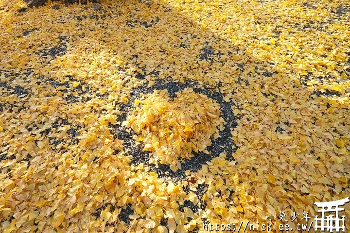 【京都】本願寺山科別院(山科本願寺)-遊客不多的銀杏祕境