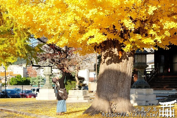 【京都】本願寺山科別院(山科本願寺)-遊客不多的銀杏祕境