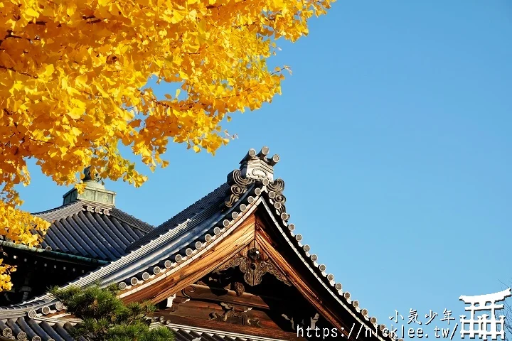 【京都】本願寺山科別院(山科本願寺)-遊客不多的銀杏祕境