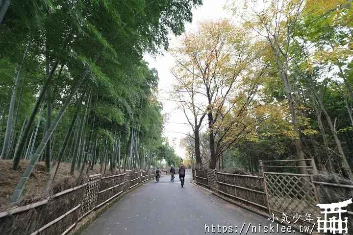 【京都】洛西竹林公園(洛西口竹林小徑)-沒有嵐山人擠人般的竹林公園