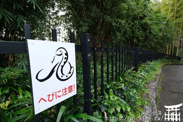 【京都】洛西竹林公園(洛西口竹林小徑)-沒有嵐山人擠人般的竹林公園