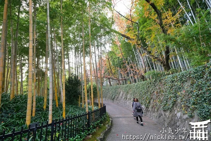 【京都】洛西竹林公園(洛西口竹林小徑)-沒有嵐山人擠人般的竹林公園