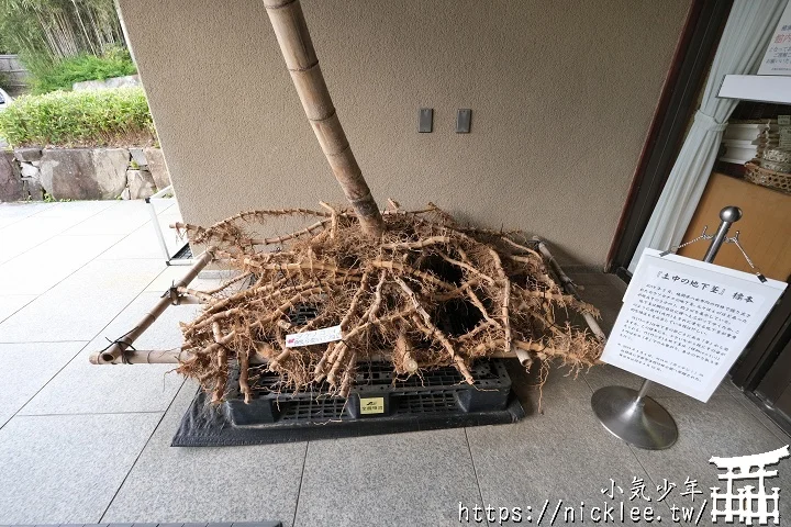 【京都】洛西竹林公園(洛西口竹林小徑)-沒有嵐山人擠人般的竹林公園