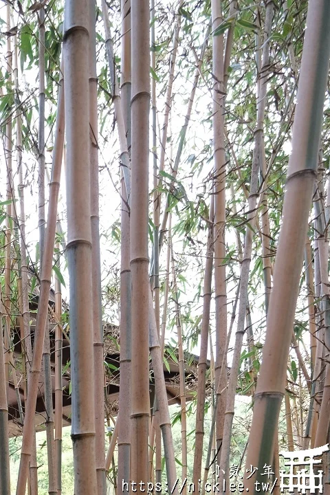 【京都】洛西竹林公園(洛西口竹林小徑)-沒有嵐山人擠人般的竹林公園