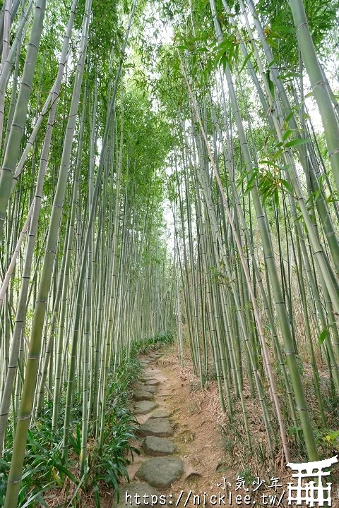 【京都】洛西竹林公園(洛西口竹林小徑)-沒有嵐山人擠人般的竹林公園